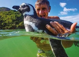 Filme da semana: Meu Amigo Pinguim emociona com história real que aconteceu no Brasil