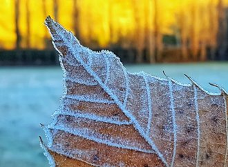 Frente fria avança sobre Cosmópolis e derruba temperaturas nesta semana