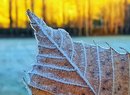 Frente fria avança sobre Cosmópolis e derruba temperaturas nesta semana